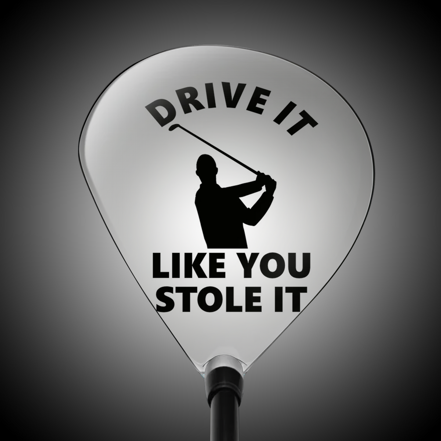 Swingskinz - Drive it Like You Stole It