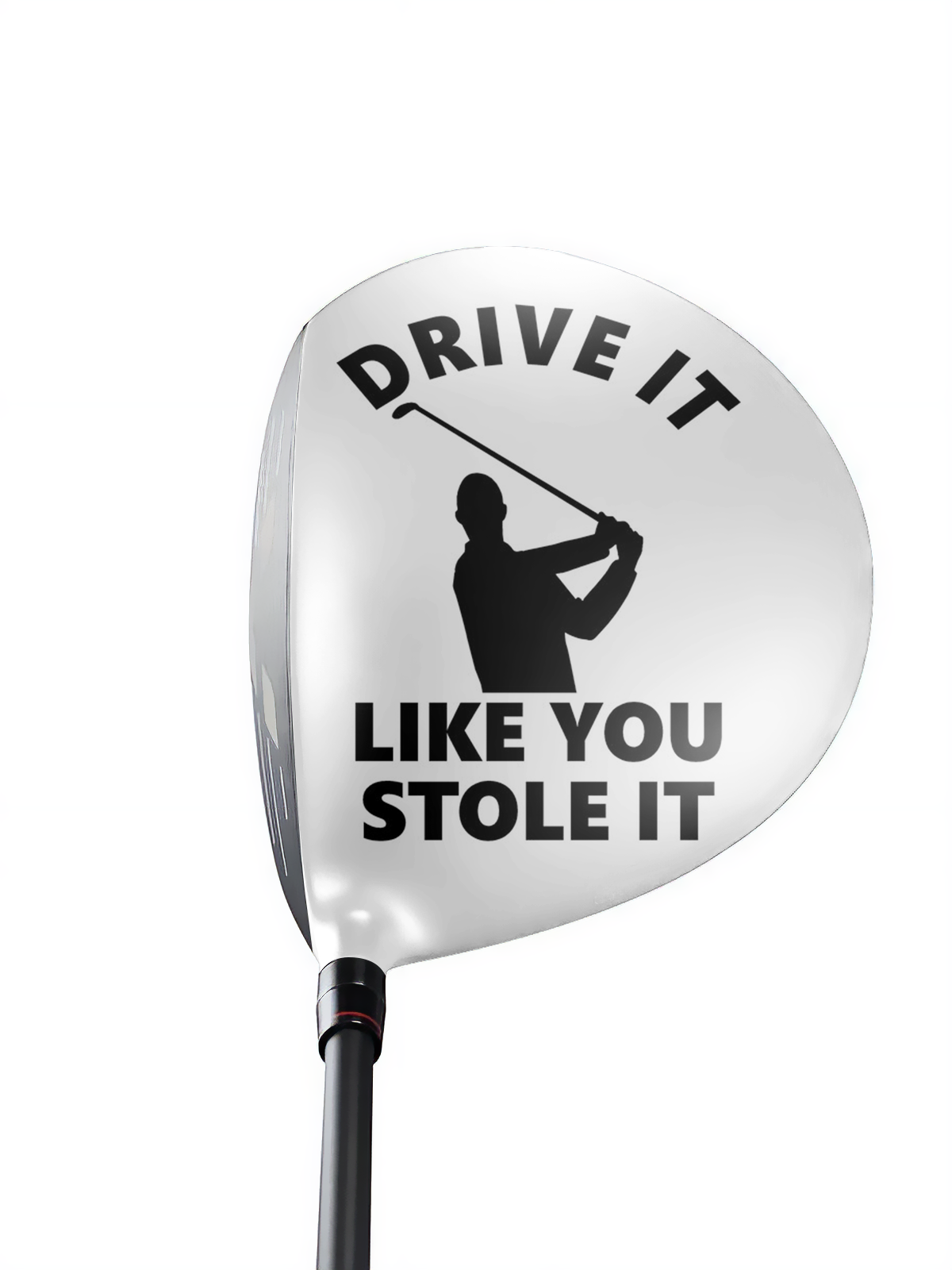 Swingskinz - Drive it Like You Stole It