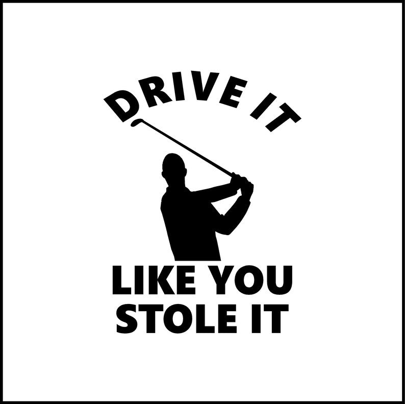 Swingskinz - Drive it Like You Stole It