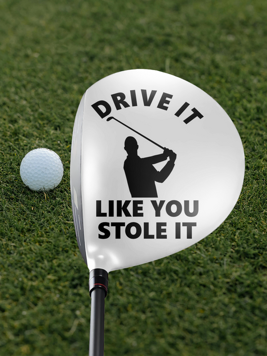 Swingskinz - Drive it Like You Stole It